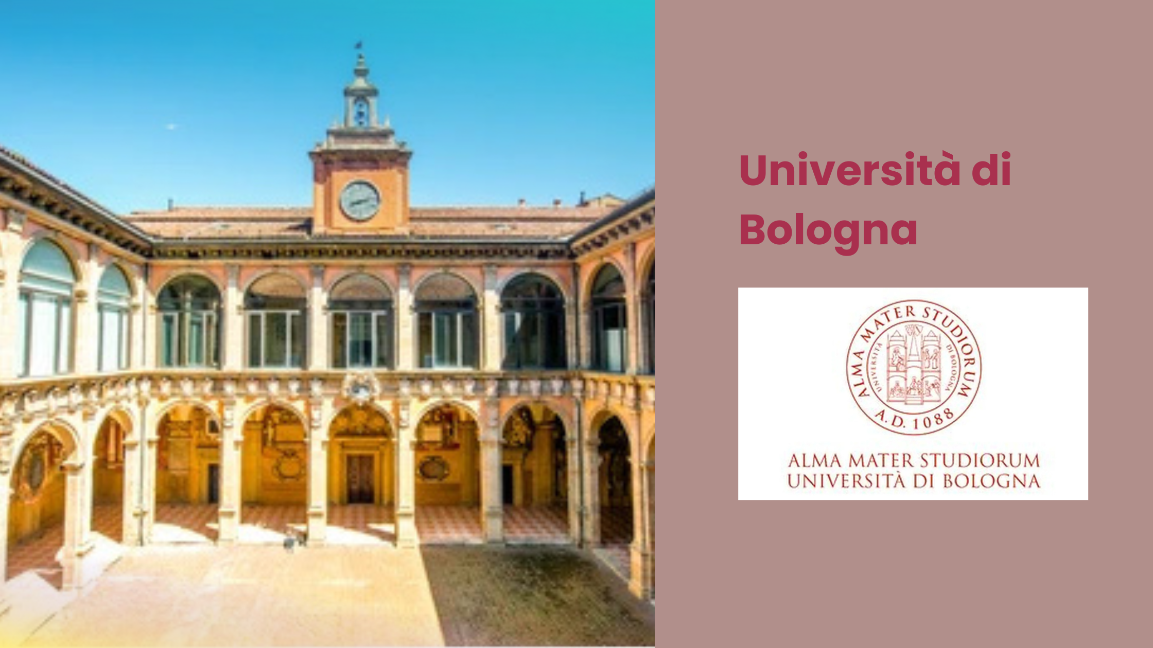 University of Bologna